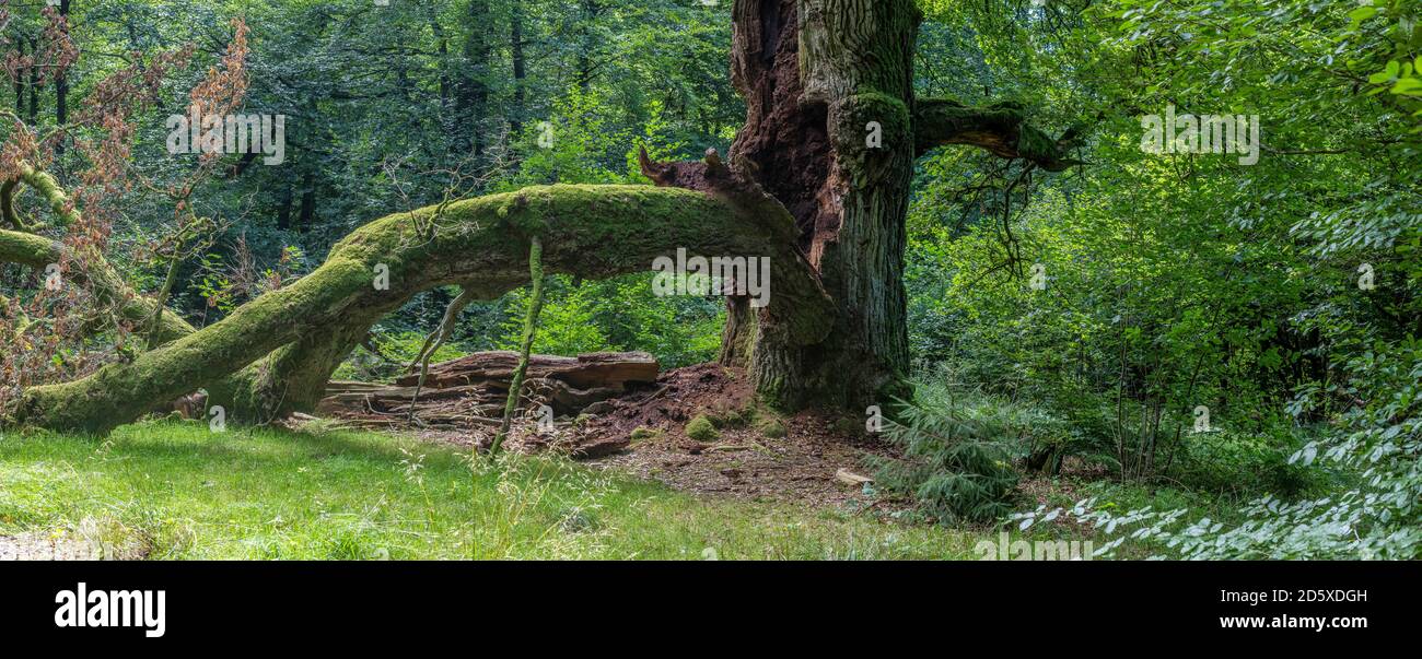 Nature and human intervention hires stock photography and images Alamy