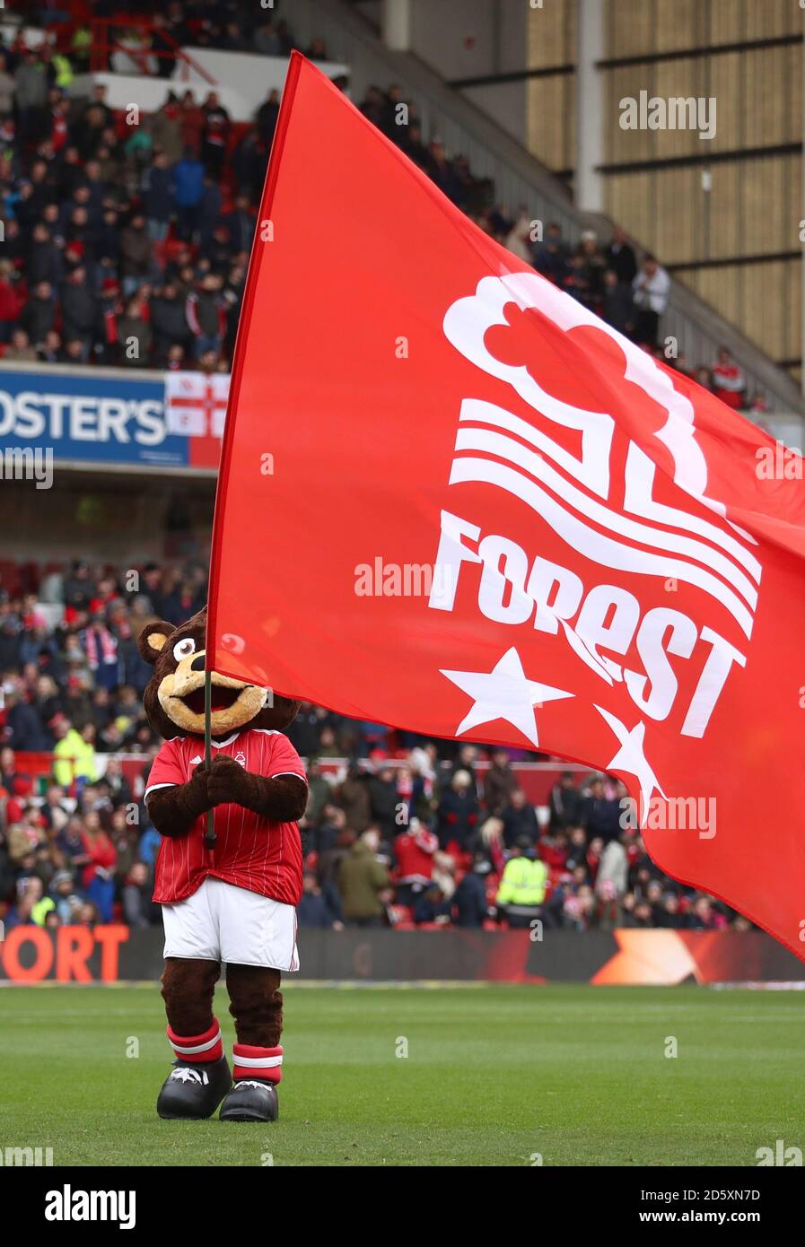 Nottingham Forest mascot Sherwood the Bear Stock Photo Alamy
