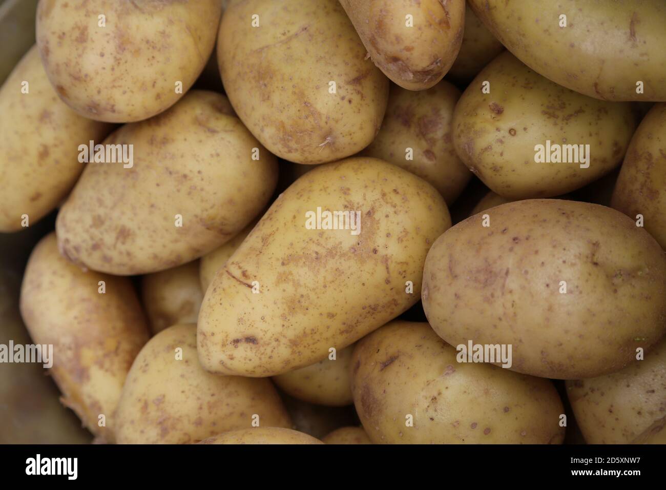 'Fresh Potatoes' This photos was taken at a local farmers market. September 2020 Stock Photo