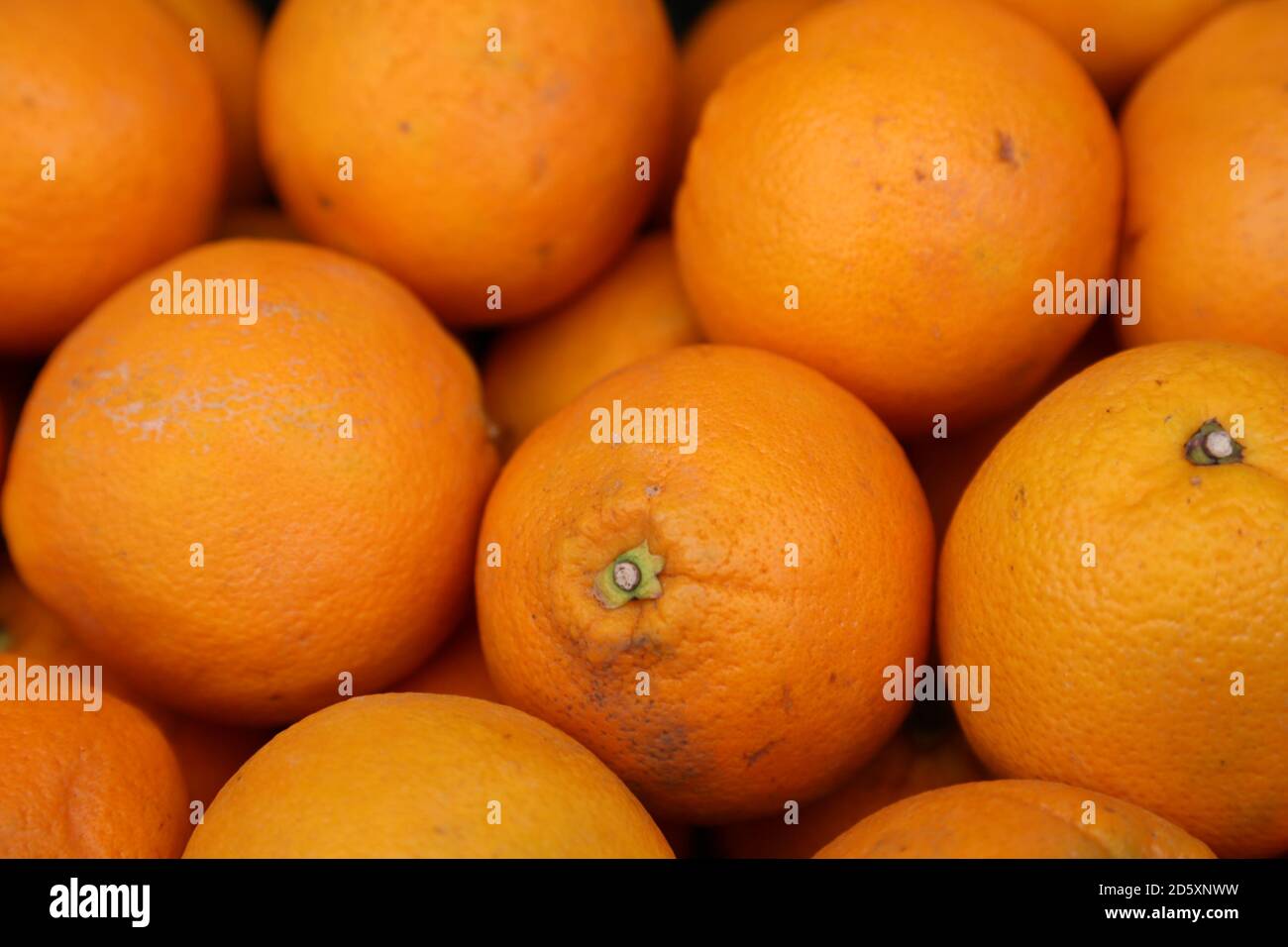 'Vitamin C' This photos was taken at a local farmers market. September 2020 Stock Photo