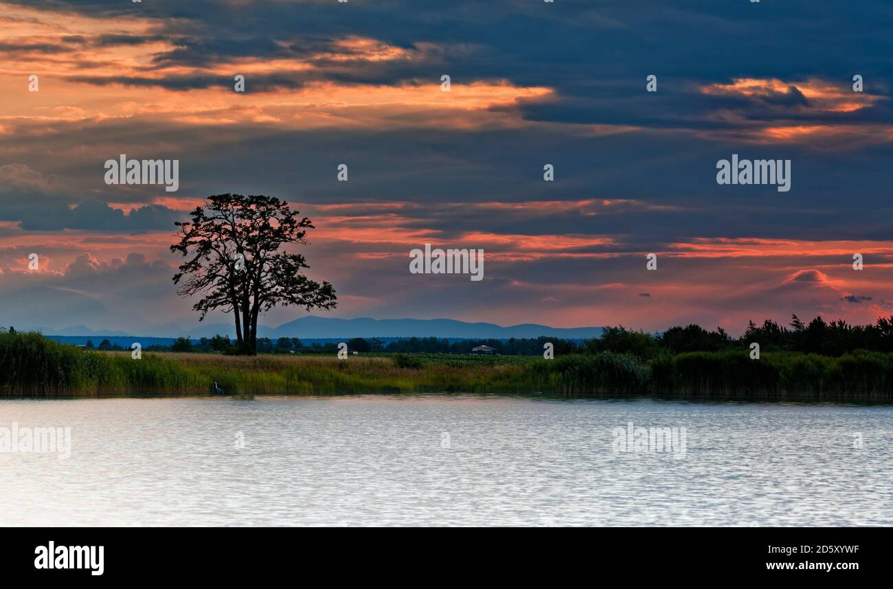 Austria, Burgenland, Lake Darscho, View of Neusiedler See Seewinkel National park at sunset Stock Photo