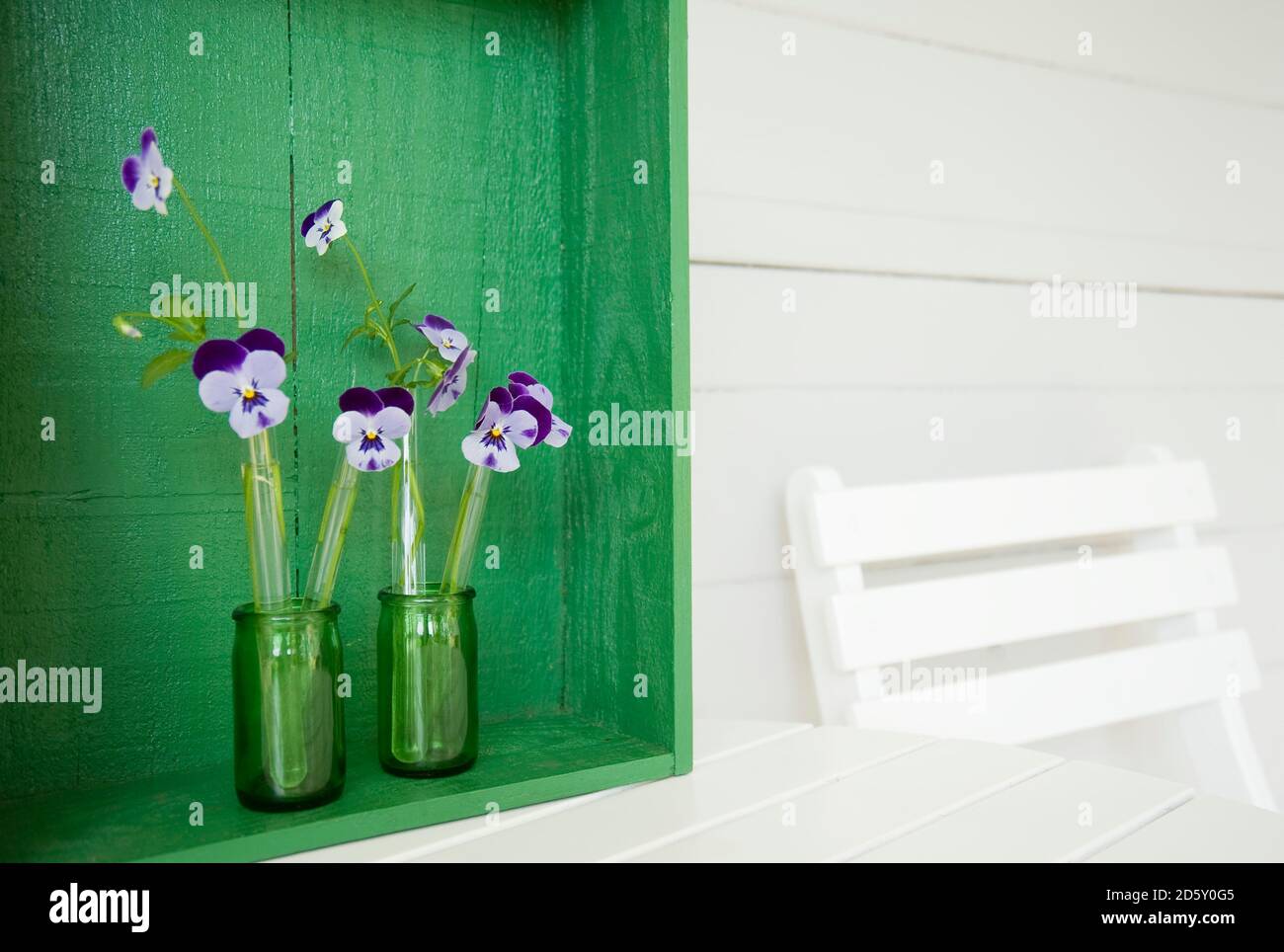 Horned violets standing in used glass tubes of vanila beans Stock Photo