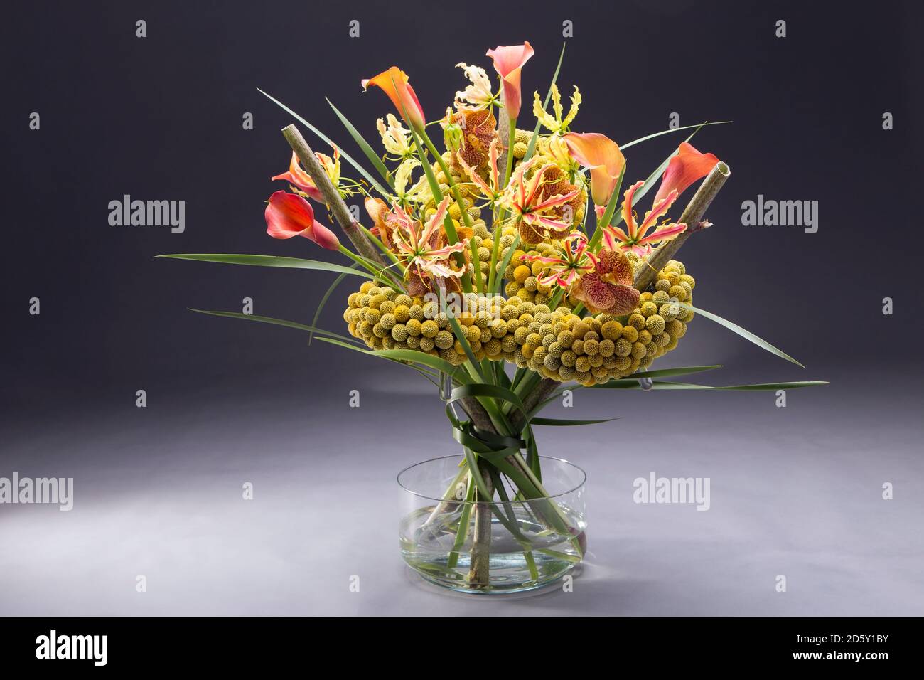 Floral arrangement of Craspedia globosa, Typha, Gloriosa Rothschildiana, Calla, Polygonum, Vanda Stock Photo