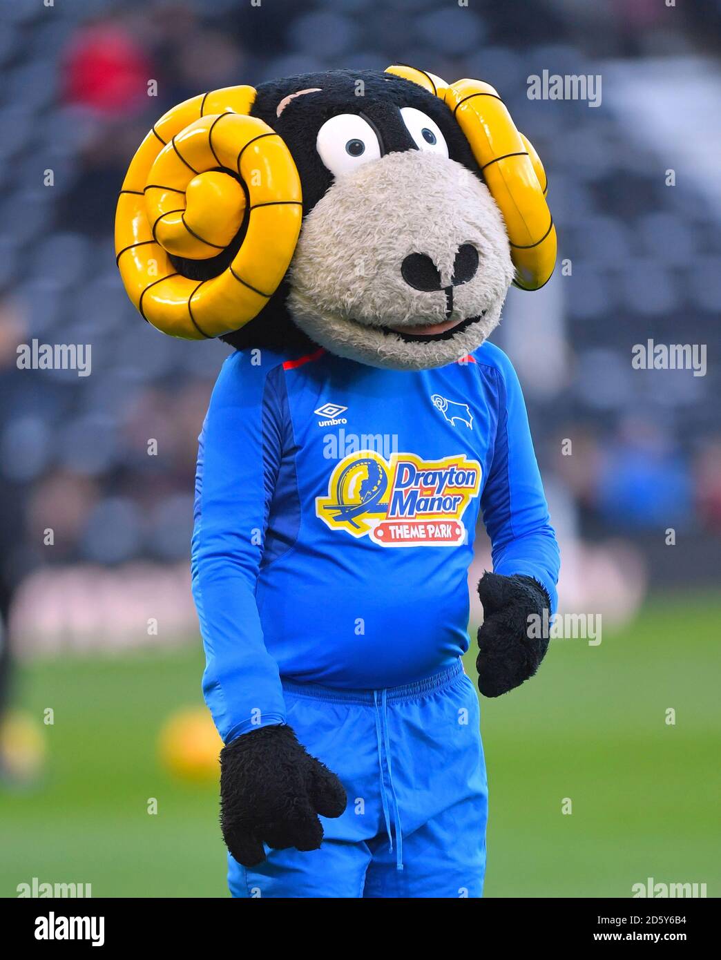 Derby County mascot Rammy the Ram Stock Photo - Alamy