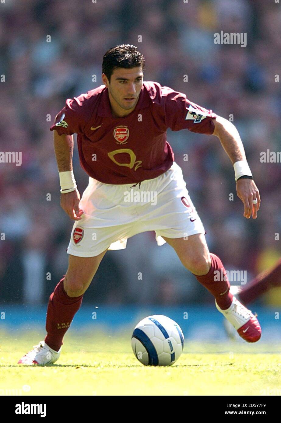 Jose Antonio Reyes, Arsenal Photo