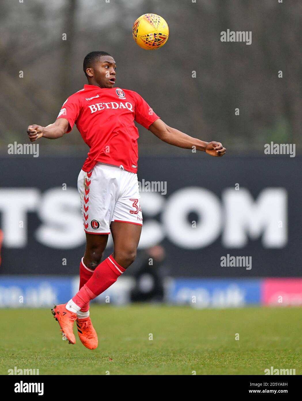 Anfernee Dijksteel, Charlton Athletic Stock Photo Alamy