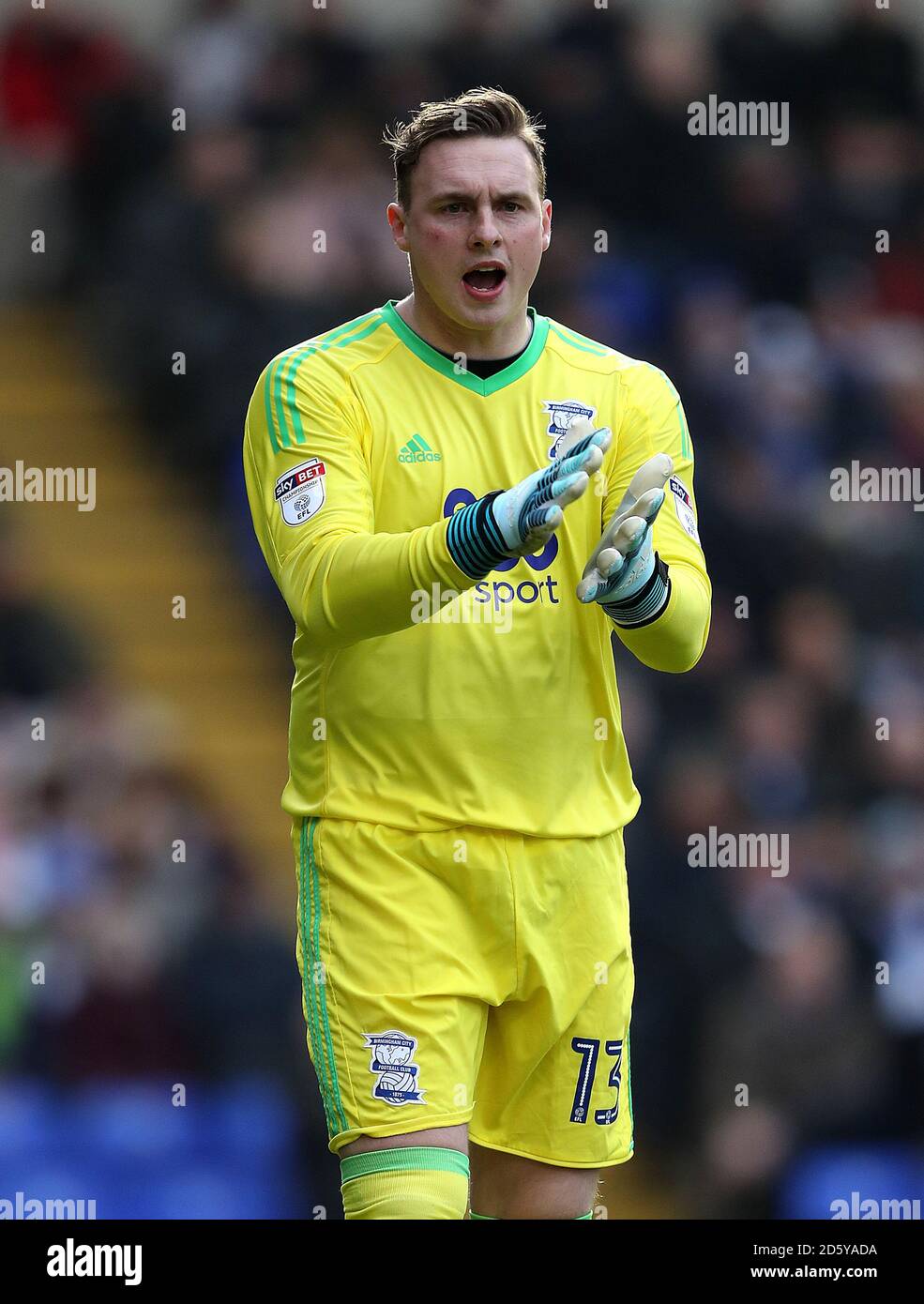 Birmingham City goalkeeper David Stockdale Stock Photo - Alamy