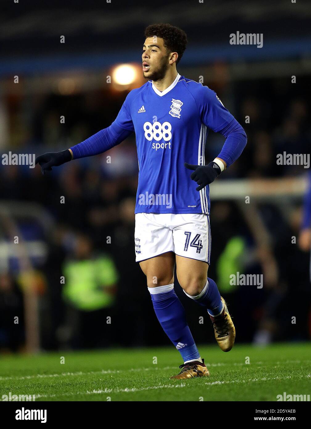 Che Adams, Birmingham City Stock Photo - Alamy