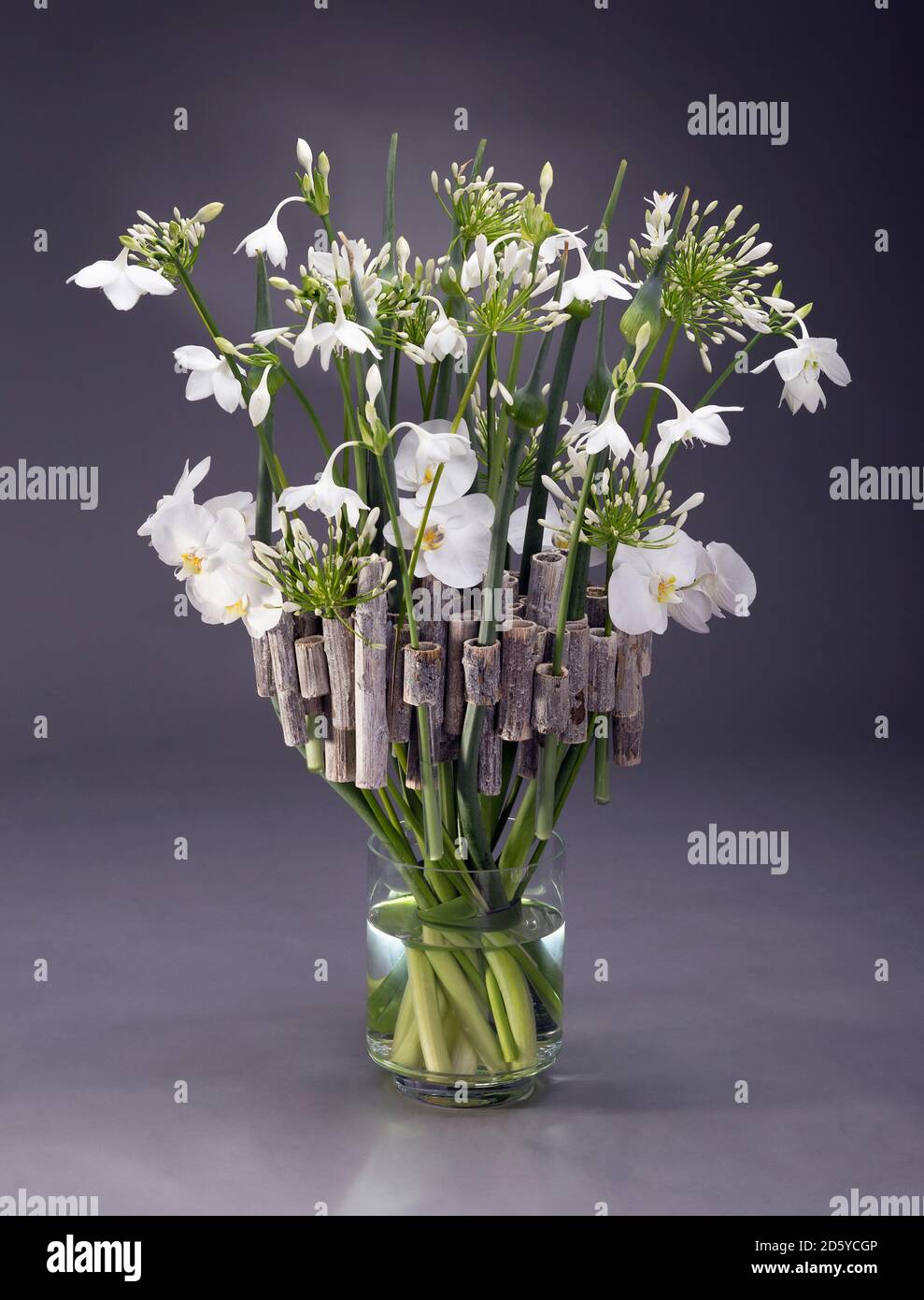Floral arrangement of Polygonum, Allium,  Agapanthus, Eucharis grandiflora, Phalaenopsis Stock Photo