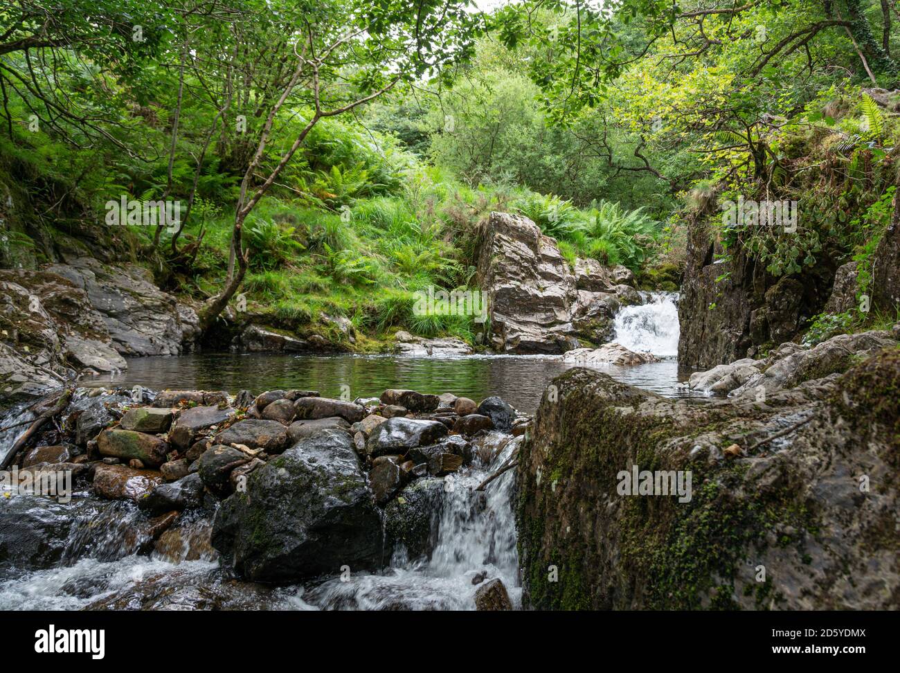 The East Okement River on Dartmoor in Devon Stock Photo Alamy