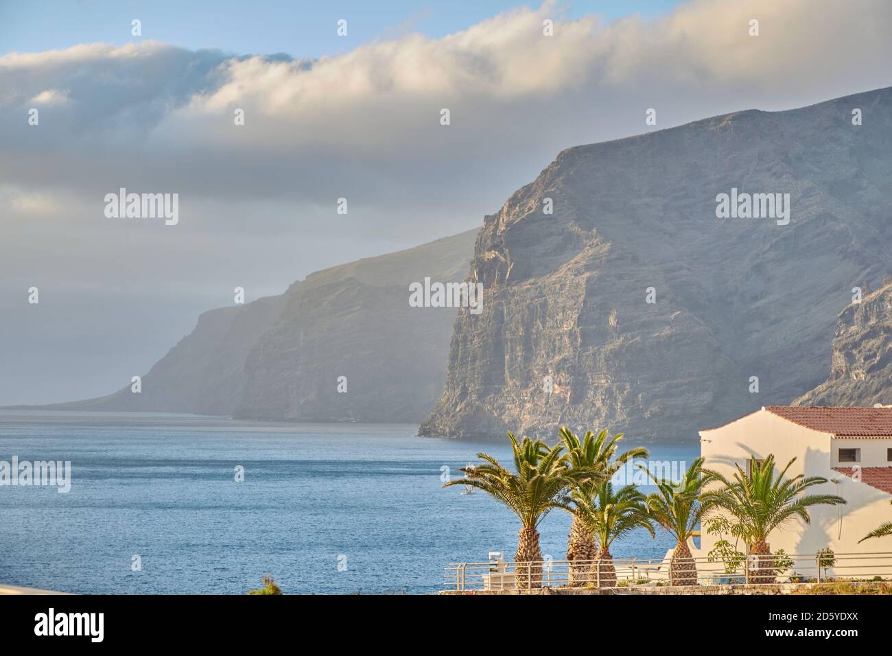 Panoramic coastline in Tenerife, Spain. Huge cliffs at the coastline of Tenerife with palm trees in the foreground. Stock Photo