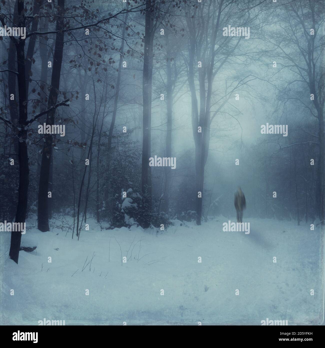 Germany, near Wuppertal, Man walking in snow covered forest, digital manipulation Stock Photo