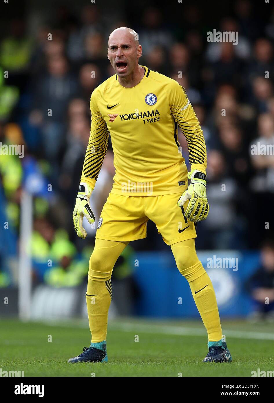 Chelsea goalkeeper Willy Caballero Stock Photo Alamy