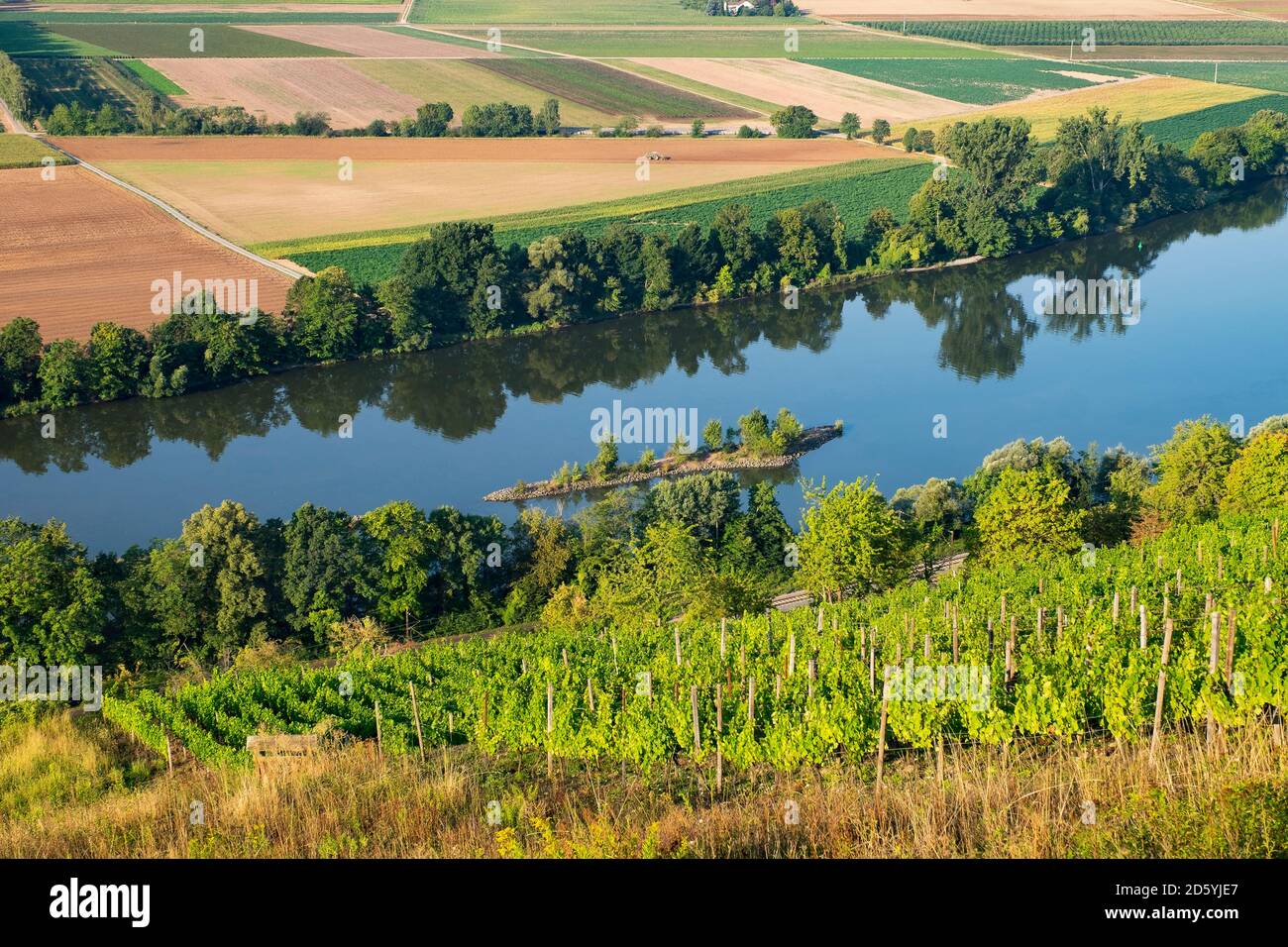Germany, Bavaria, Karlstadt, Main River and vineyard Kalbenstein Stock Photo