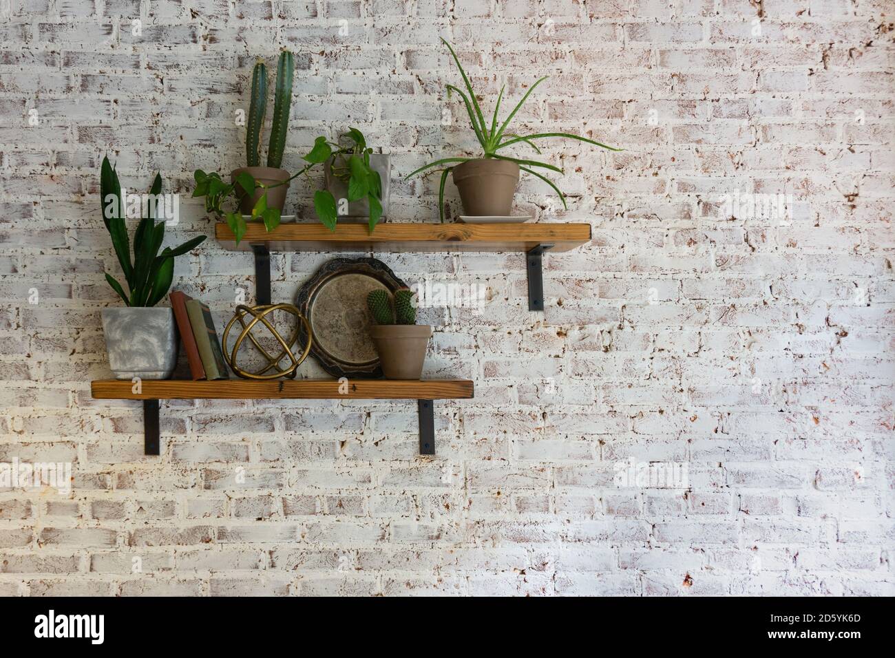Modern stylish white brick wall with shelves and plants on them Stock