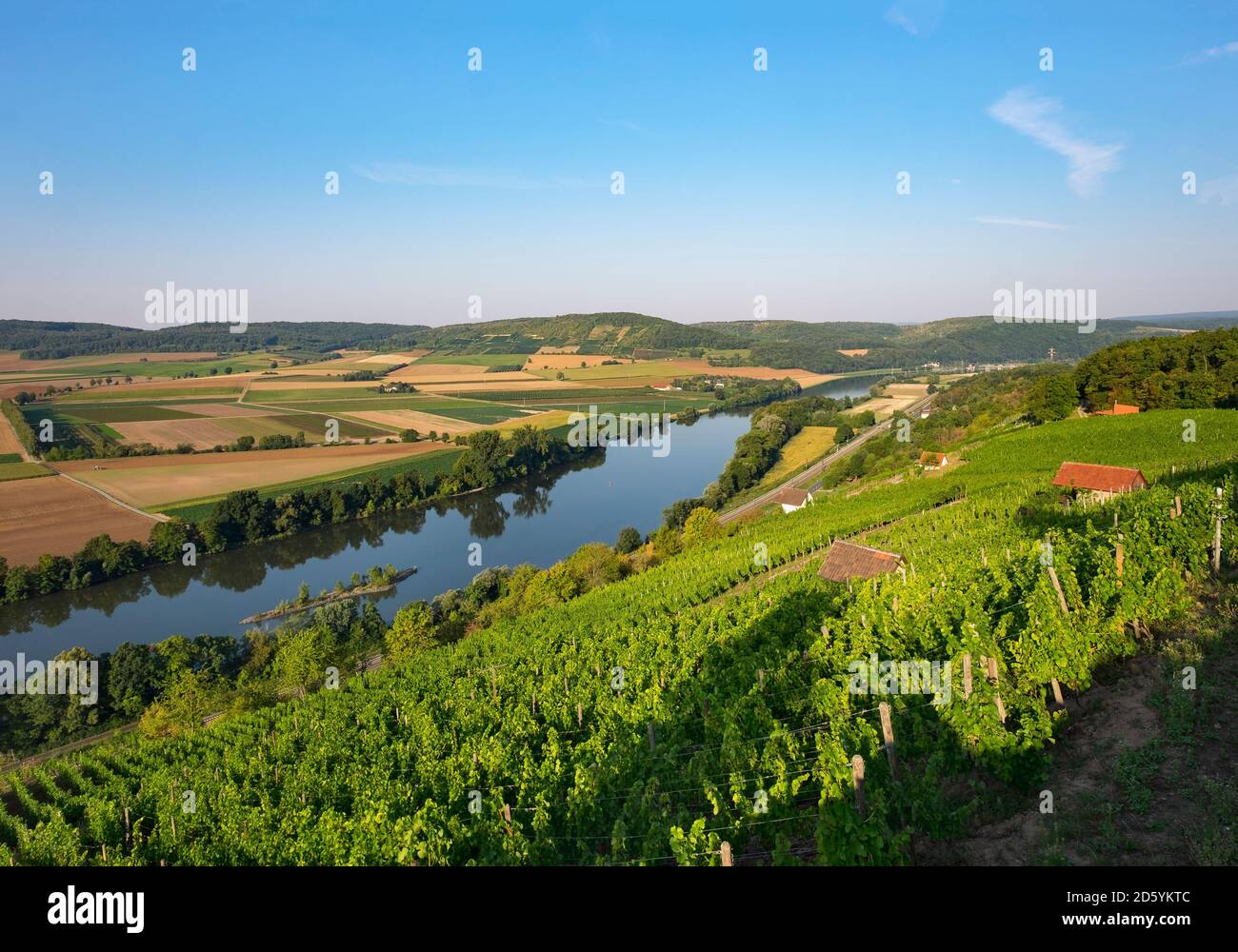 Germany, Bavaria, Karlstadt, Main River and vineyard Kalbenstein Stock Photo