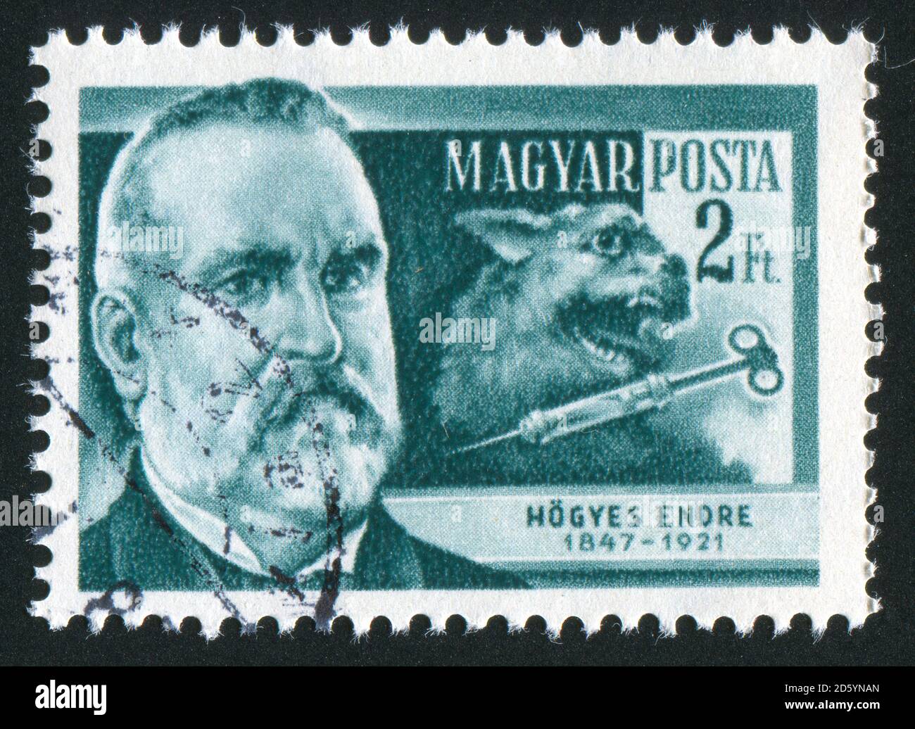 HUNGARY - CIRCA 1954: stamp printed by Hungary, shows Endre Hogyes, circa 1954 Stock Photo