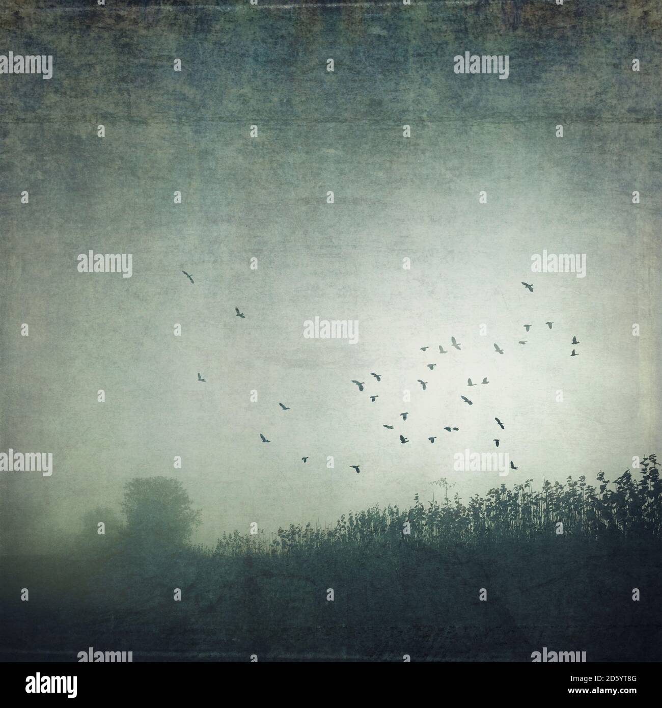 Flying effect hi-res stock photography and images - Alamy