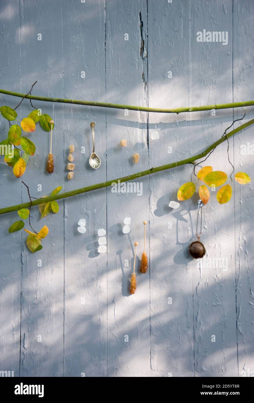 Twig with silver spoon, tea strainer and different rock candies Stock Photo