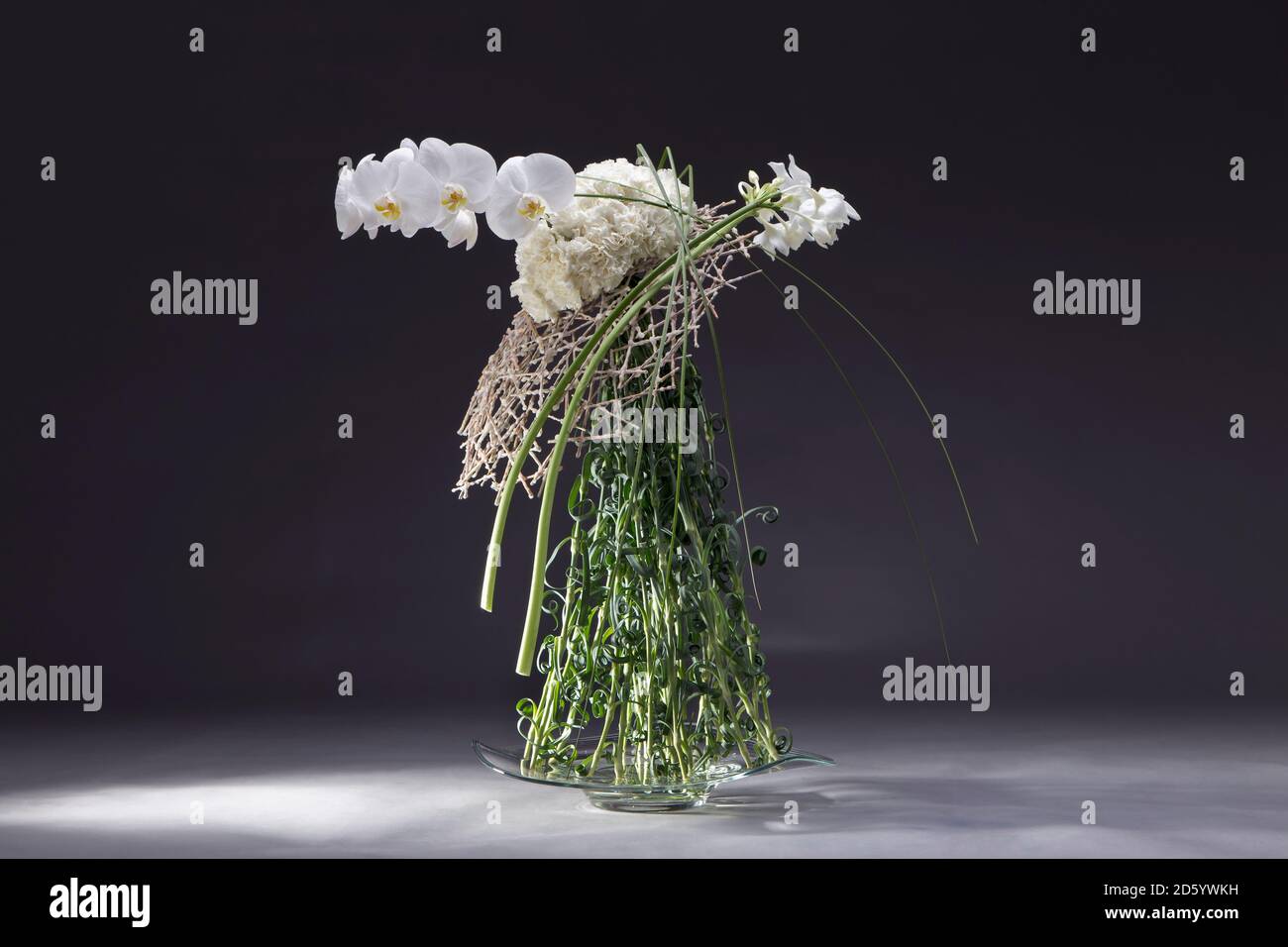 Floral arrangement of Poaceae, Dianthus, Eucharis grandiflora, Phalaenopsis Stock Photo