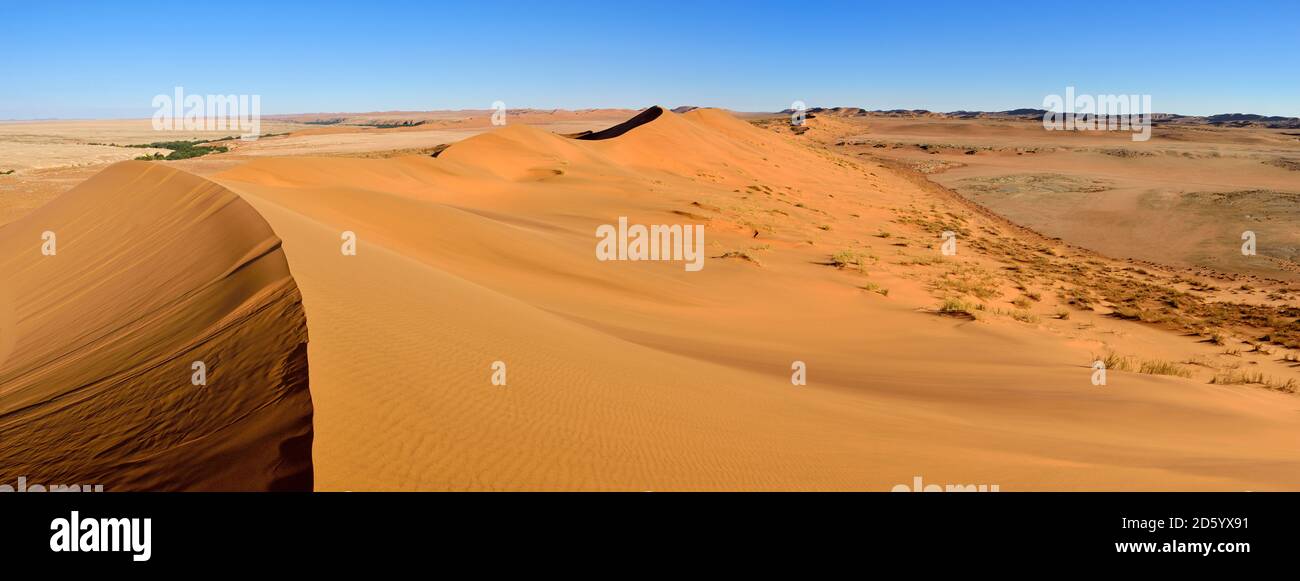 Africa, Namibia, sand dunes of the Namib Desert along Kuiseb River near Gobabeb, Namib Naukluft Park Stock Photo