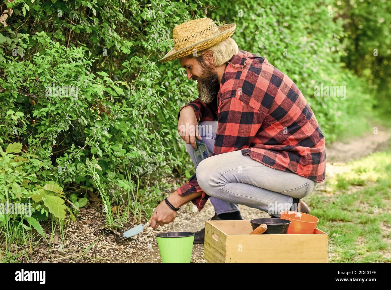 Shade tolerant plants can be planted under trees. Planting trees and