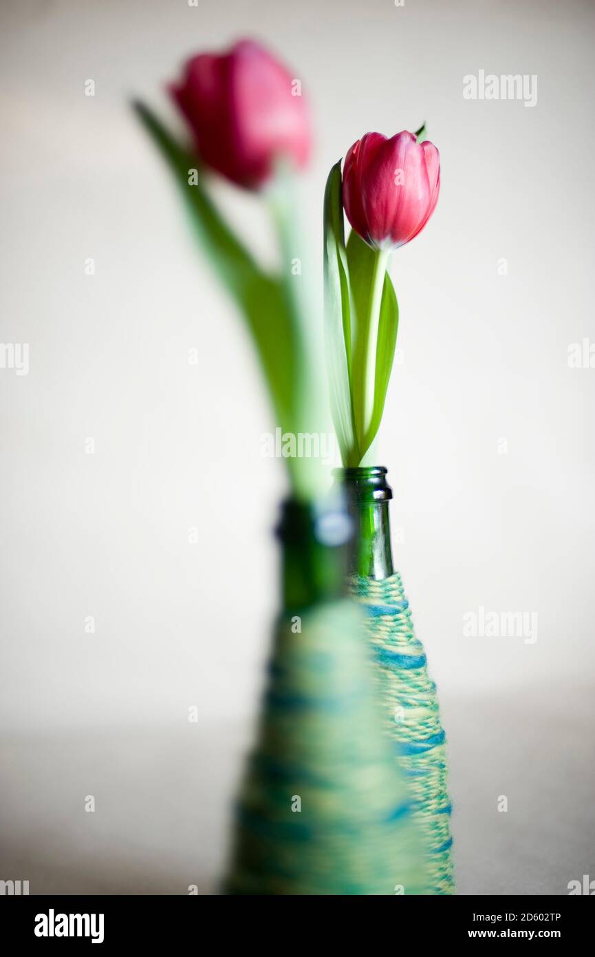 Upcycled glass bottles used as flower vases Stock Photo - Alamy
