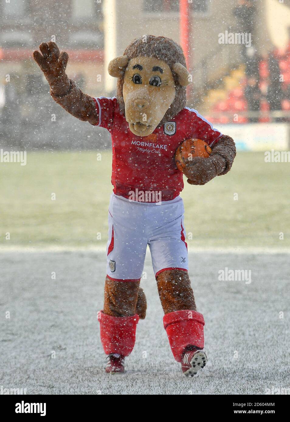 Crewe Alexandra Mascot Gresty the Lion Stock Photo