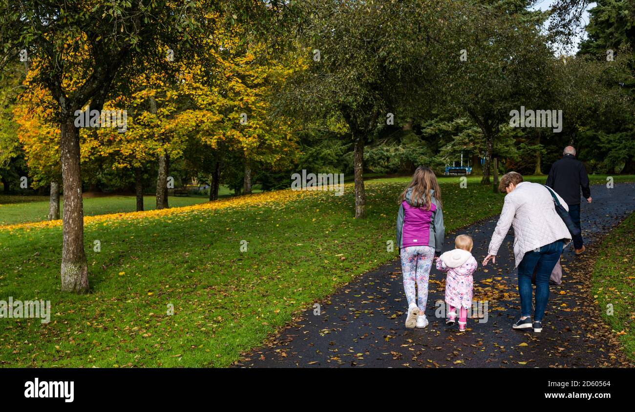 Perthshire, Scotland, United Kingdom, 14th October 2020. UK Weather: Autumn colours. The trees across Perthshire display stunning gold and orange colours on a day that alternated between rain and sunny intervals. Pictured: Autumn trees in MacRosty Park or Taylor Park, Crieff as a family with children walk on a footpath Stock Photo