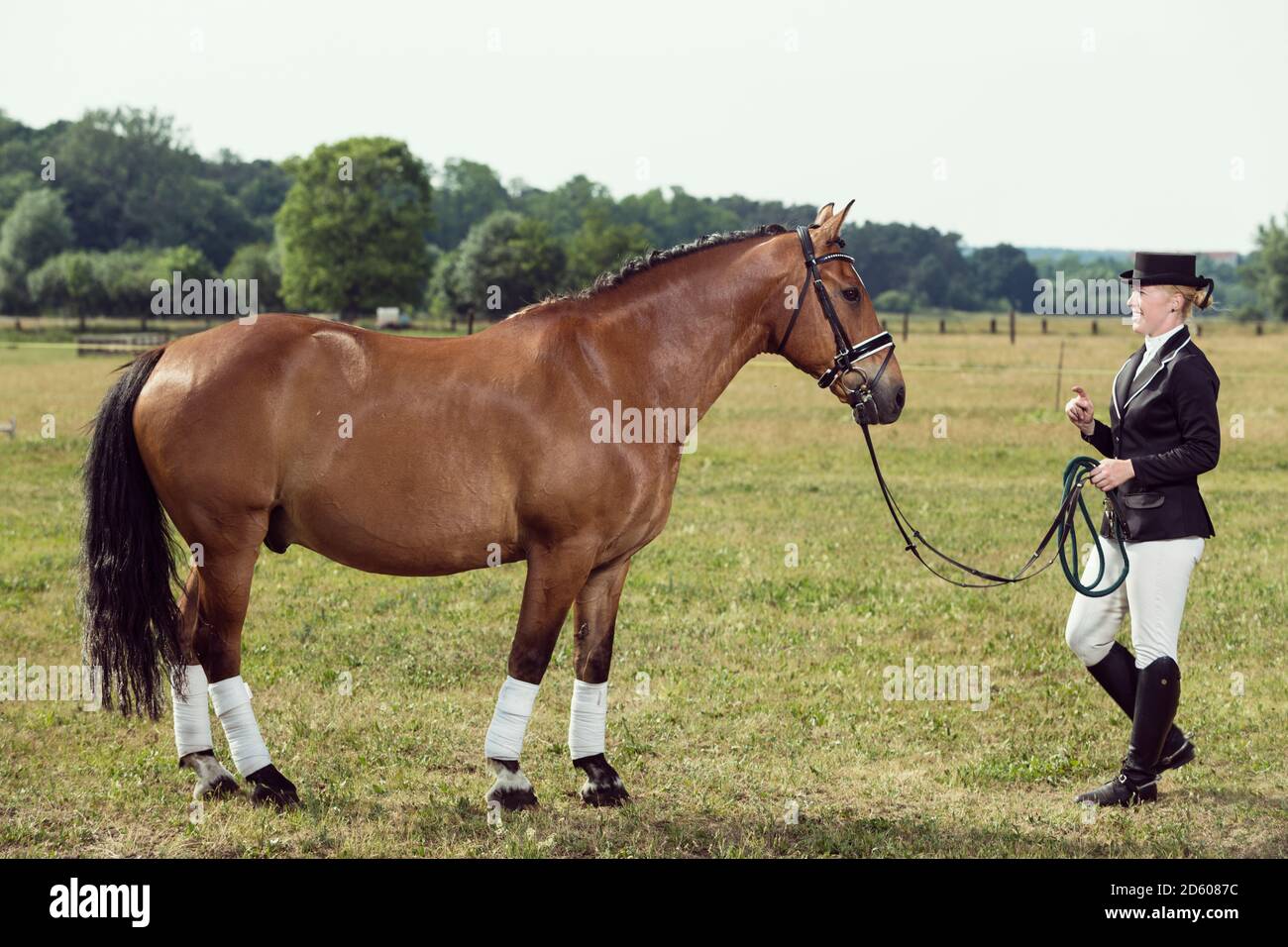 Woman wearing riding gear face to face with horse on a meadow Stock Photo