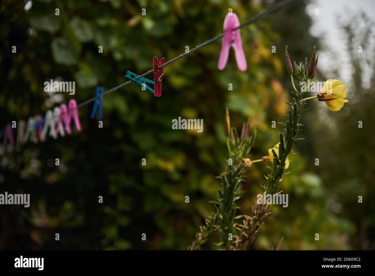 Without clothes hires stock photography and images Alamy