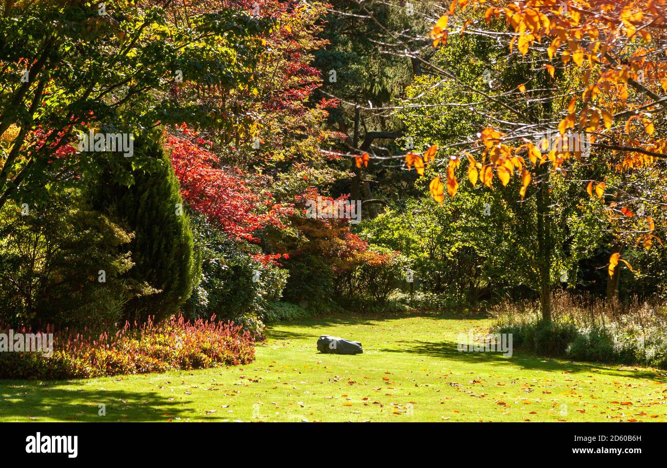 Robot lawn mower at work in a large garden in Scotland. Stock Photo