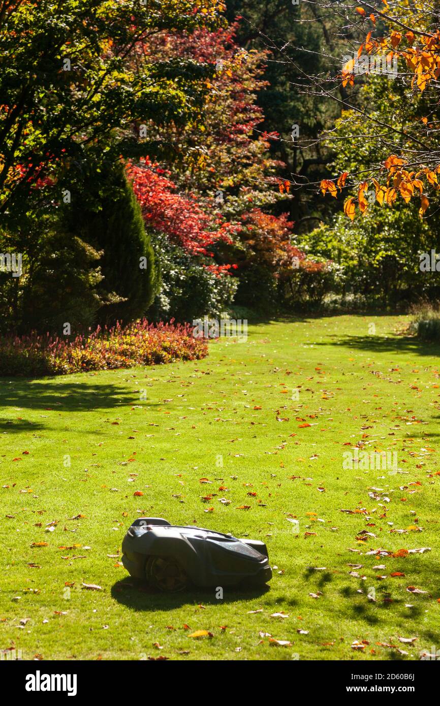 Robot lawn mower at work in a large garden in Scotland. Stock Photo