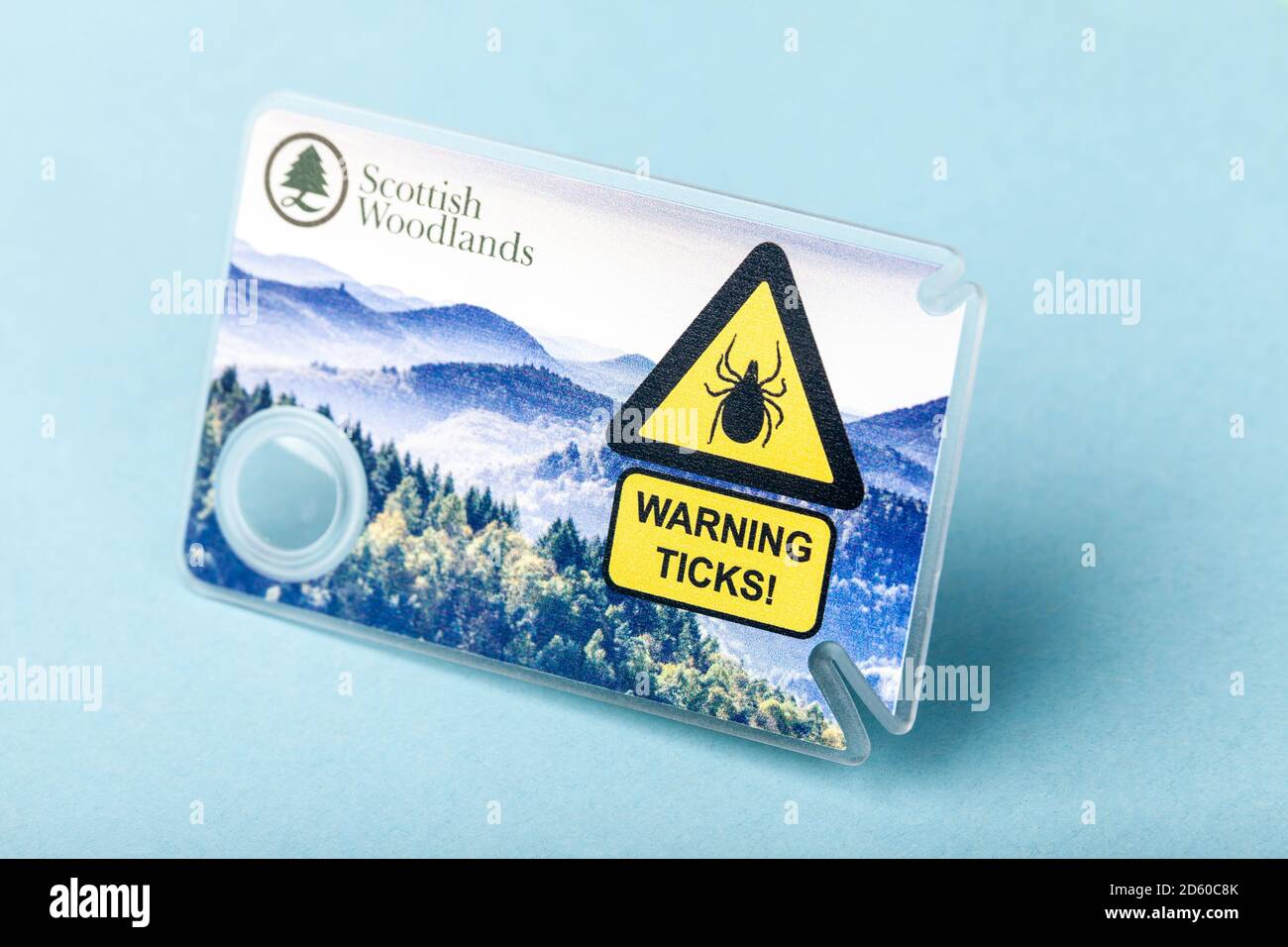 Tick removal card with magnifying glass Stock Photo Alamy