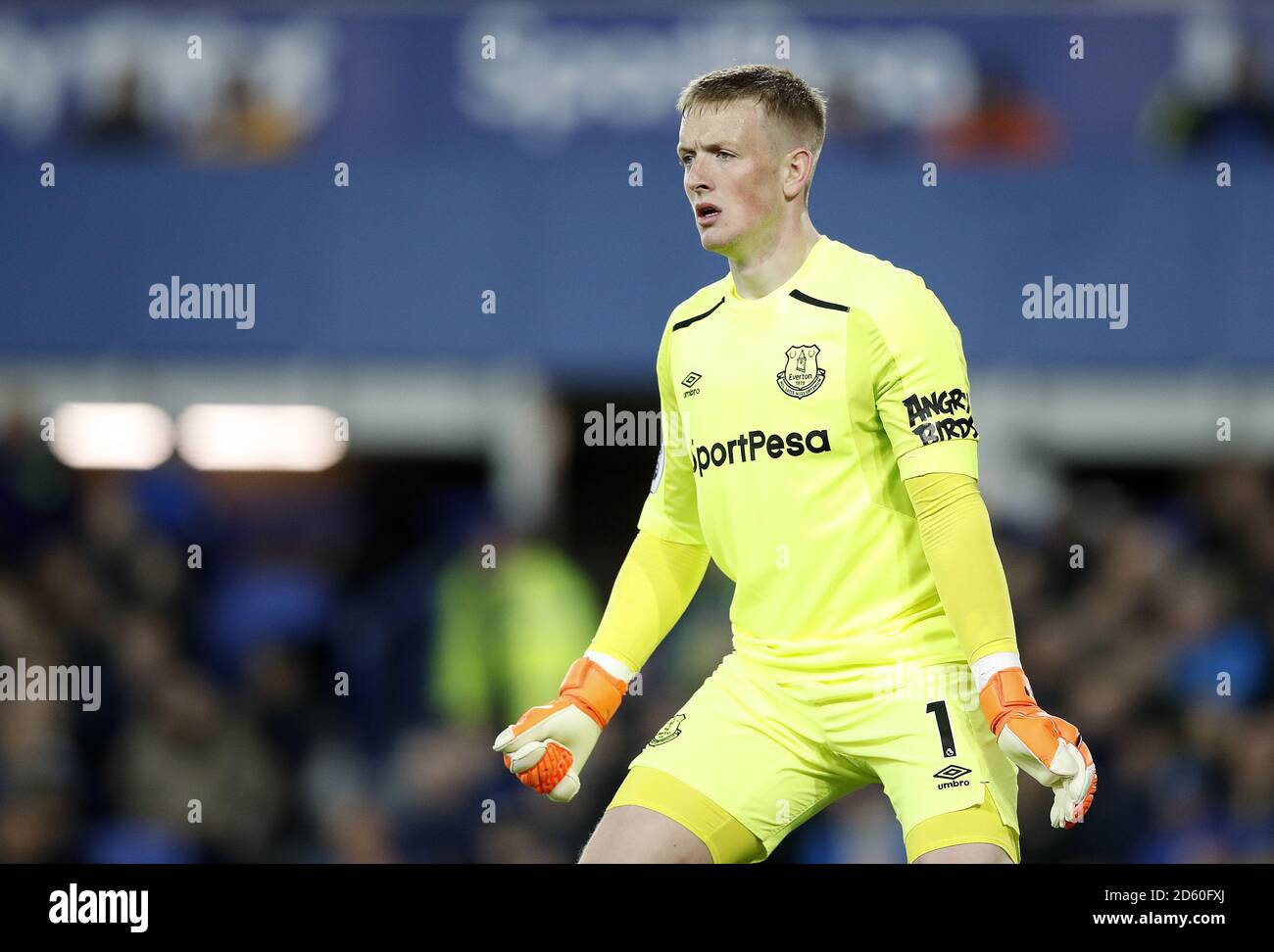 Everton Goalkeeper Jordan Pickford Stock Photo Alamy