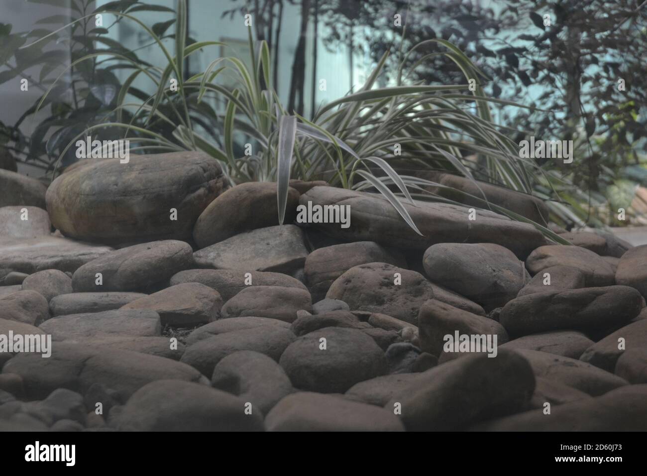 Stones, or boulders, in various sizes in a winter garden at a residence, with dry vegetation around, panoramic photo, background style, Brazil, South Stock Photo