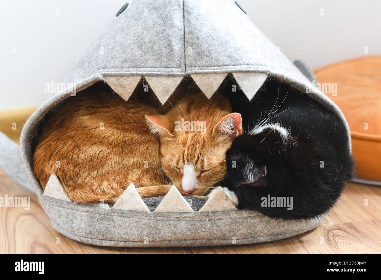 Two cats cuddling together in their cat house, lair Stock Photo Alamy