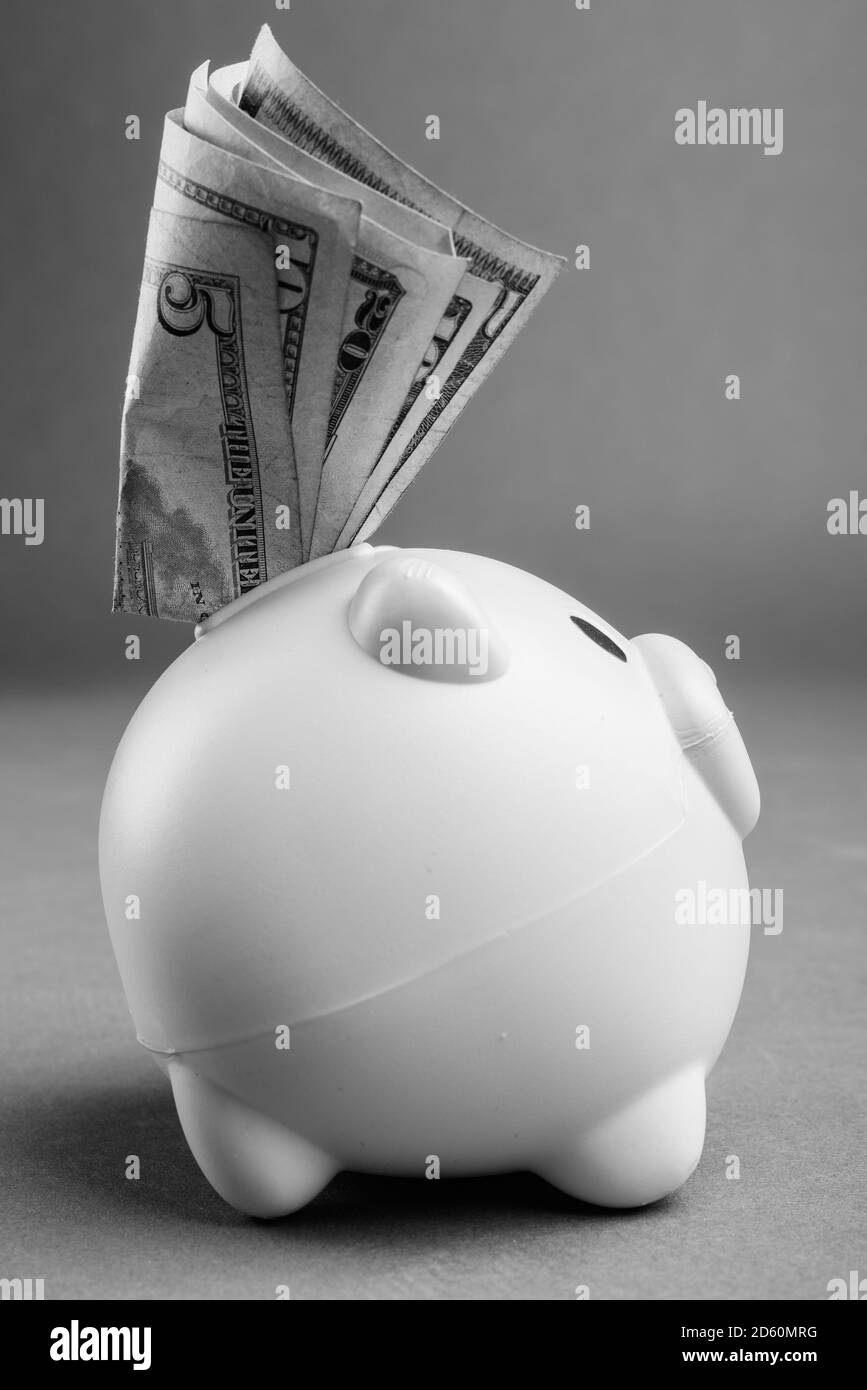 Side View Of Piggy Bank With Dollars Stock Photo Alamy