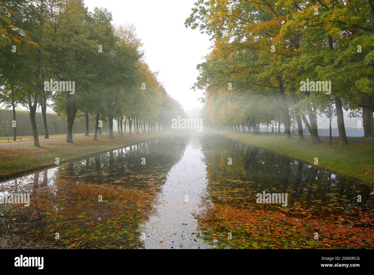 Canal with rows of trees on the bank and reflections in the water on a foggy autumn morning in a public landscape park, copy space, selected focus, na Stock Photo