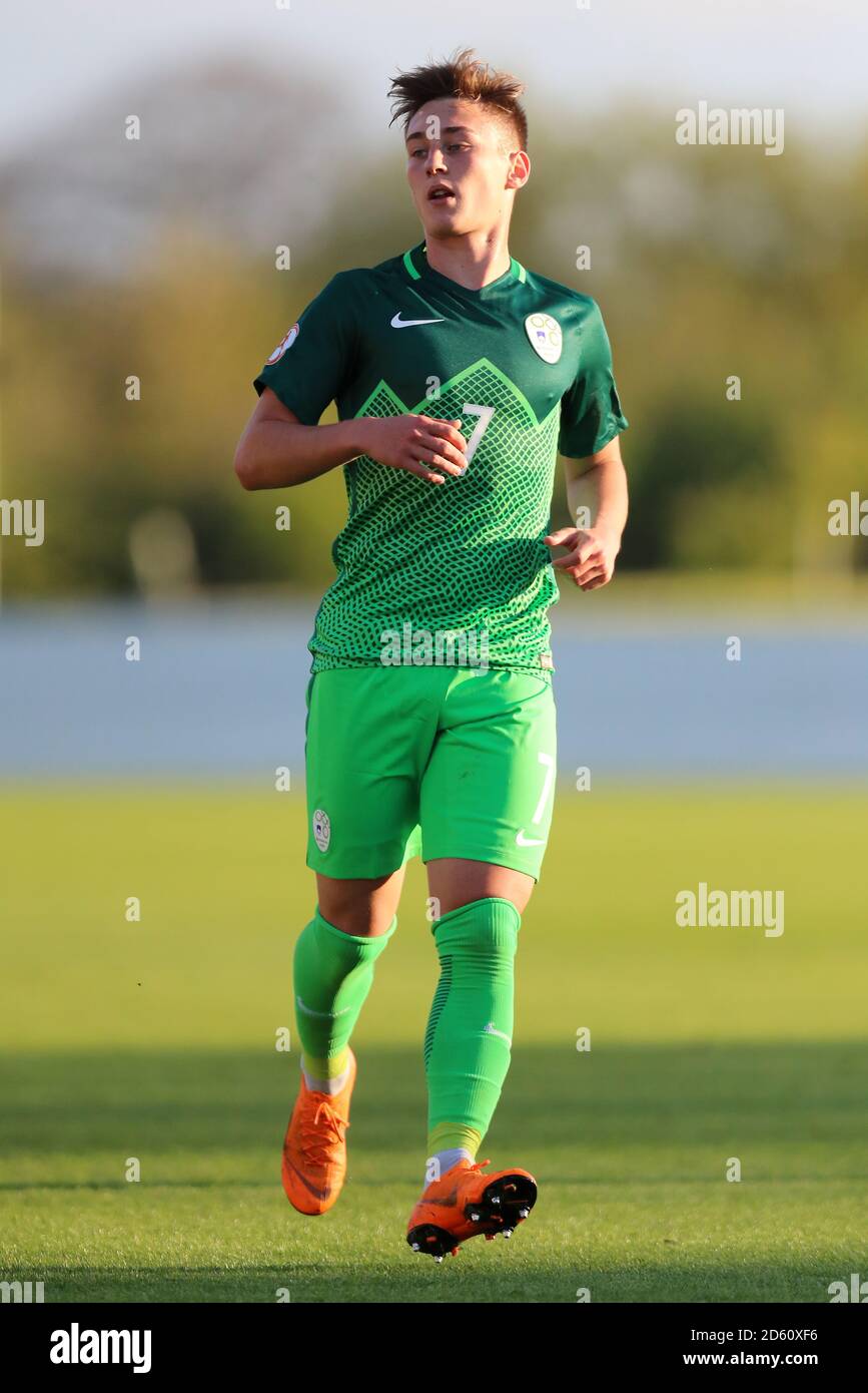 Pecar hi-res stock photography and images - Alamy