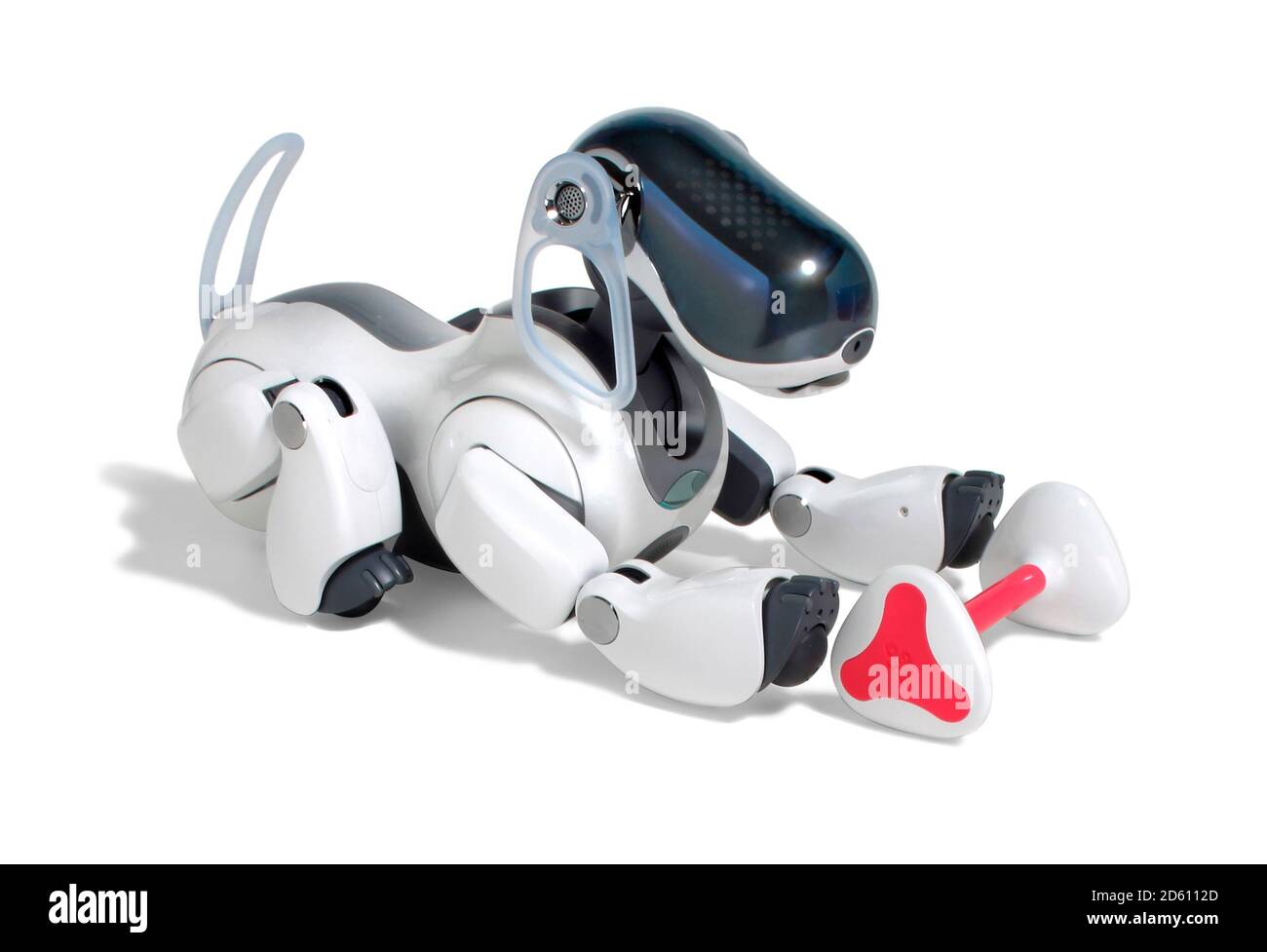 Sony aibo robotic pet dog in black and white with toy dog bone photographed on a white background. Stock Photo