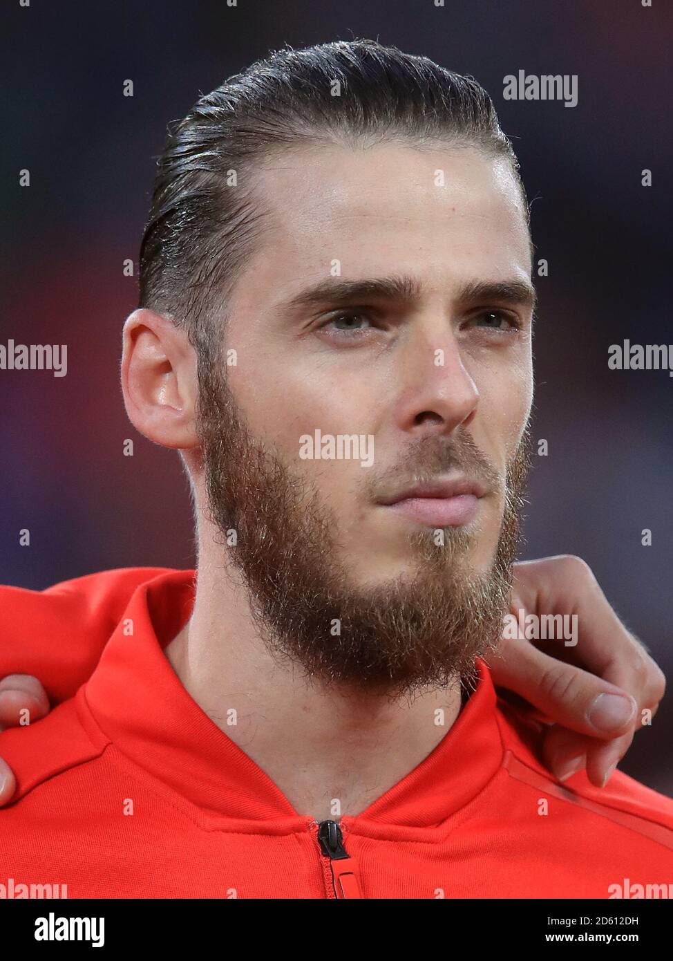 Spain goalkeeper David de Gea Stock Photo Alamy