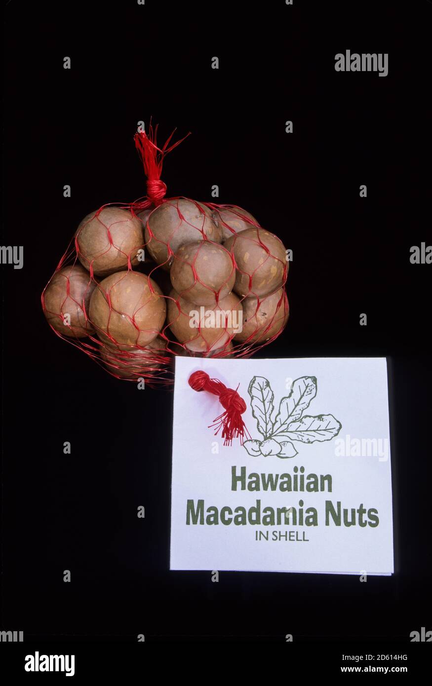 Hawaii, The Big Island, USA. Macadamia Nuts in Shells Stock Photo Alamy