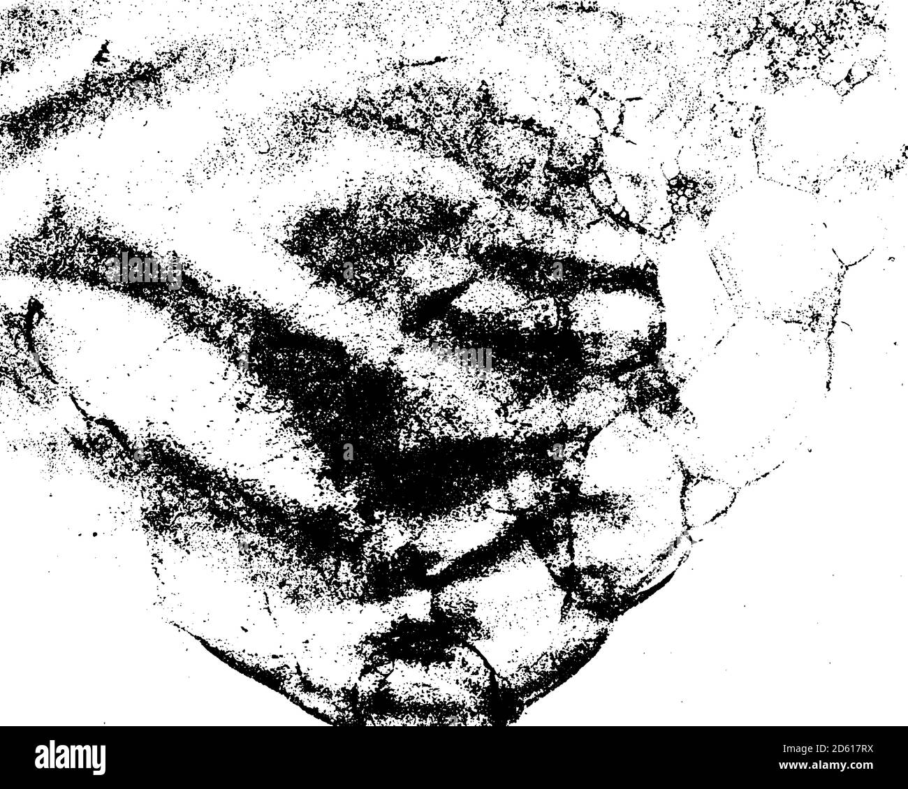 Vector grunge texture in black and white Stock Vector Image & Art - Alamy