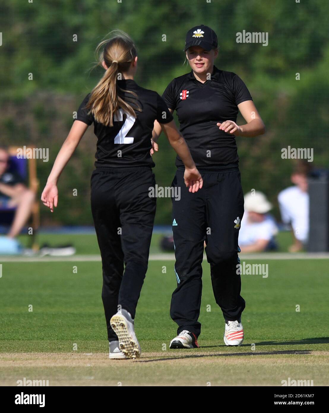 Team Knight celebrate a wicket during the cricket competition at the