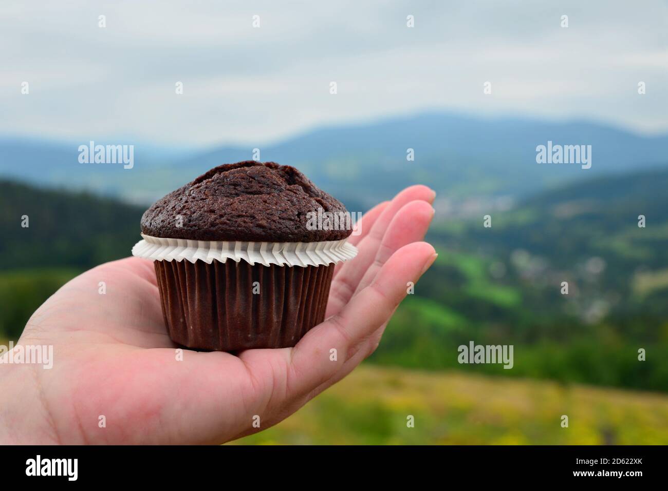Chocolate muffin on a woman's palm and a view of a deep mountain valley. Sweet snack on a mountain trip. Close-up view of a muffin. Blurred green vall Stock Photo