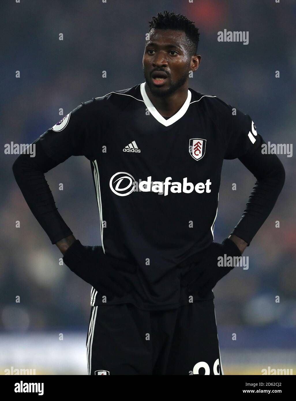 Fulham S Andre Frank Zambo Anguissa Stock Photo Alamy