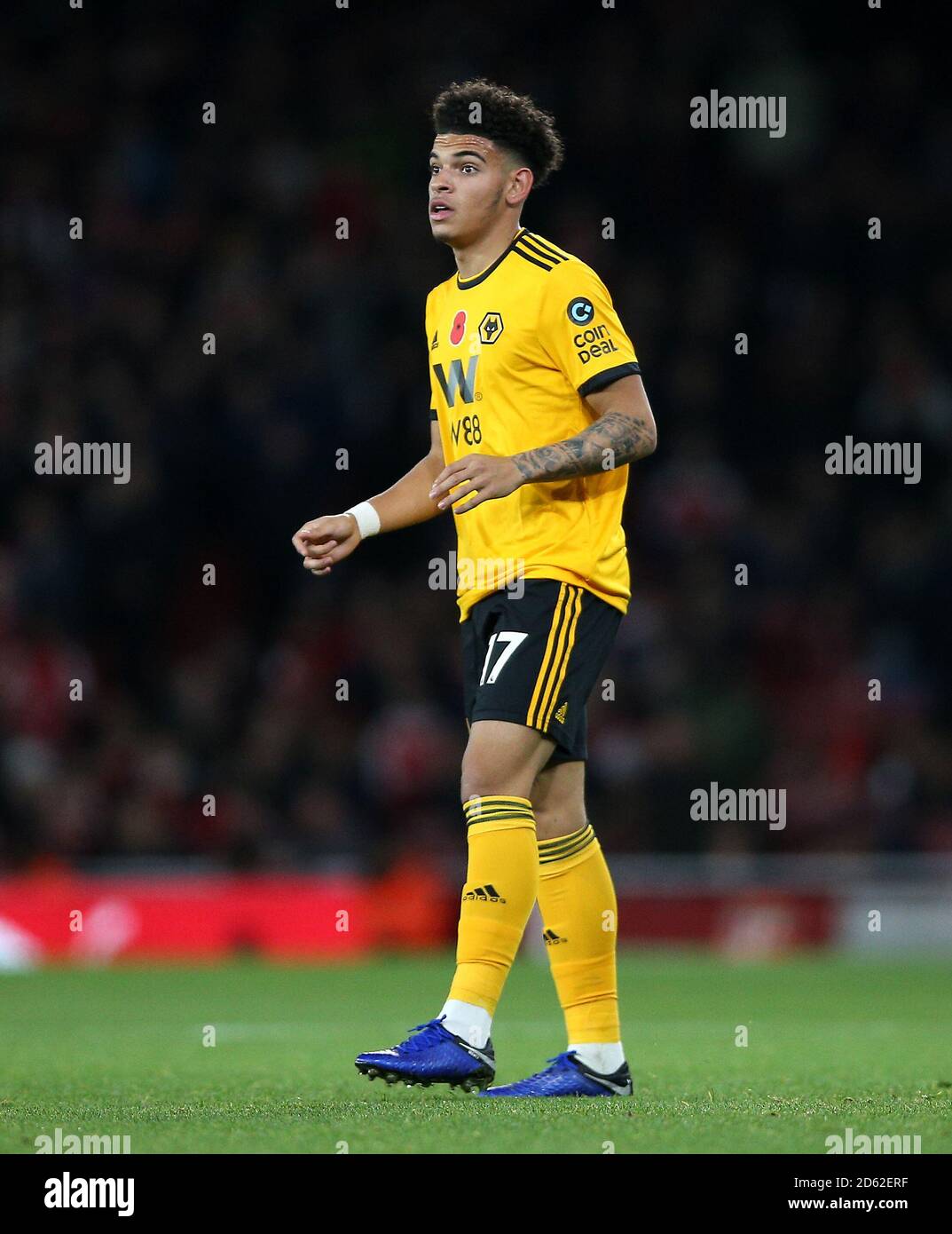 GibbsWhite, Wolverhampton Wanderers Stock Photo Alamy
