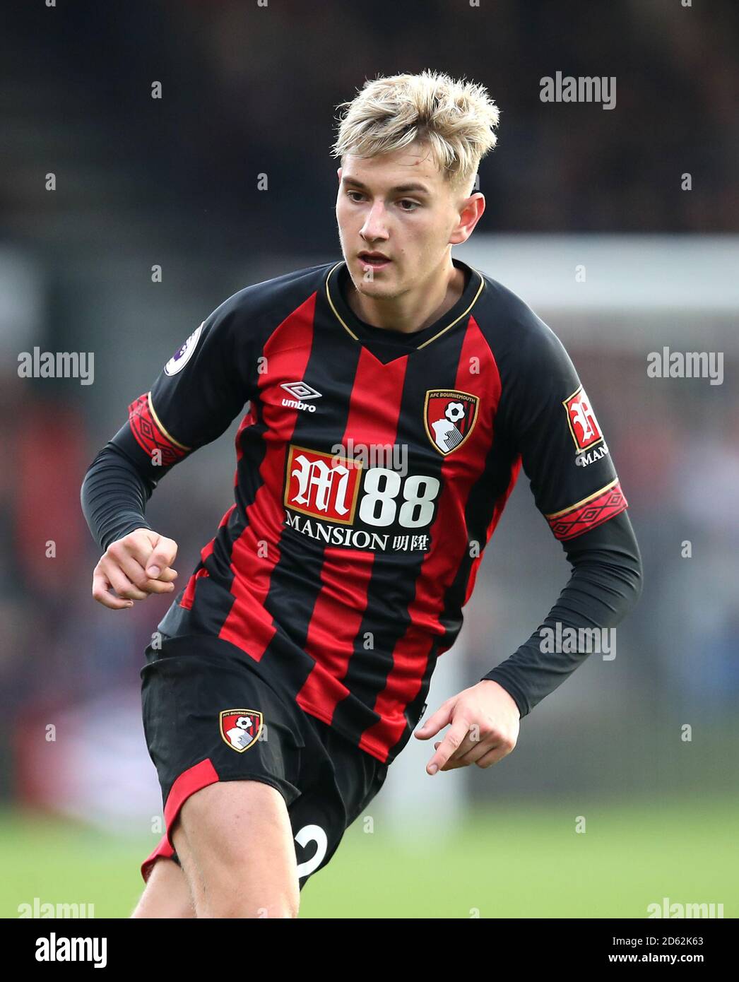 David Brooks, Bournemouth Stock Photo Alamy