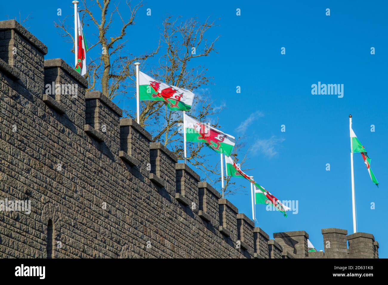 Welsh flags flying above Cardiff Castle, Wales Stock Photo